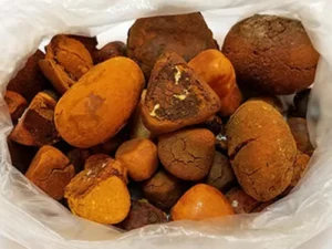 Ox Gallstones